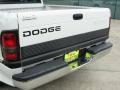 Bright White - Ram 1500 SLT Extended Cab Photo No. 19