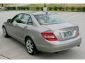 Pewter Metallic - C 300 Luxury Photo No. 9