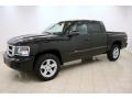 Brilliant Black - Dakota Big Horn Crew Cab 4x4 Photo No. 3