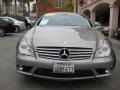 2008 Pewter Metallic Mercedes-Benz CLS 550  photo #7