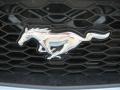 2008 Vista Blue Metallic Ford Mustang V6 Premium Coupe  photo #21