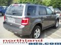 2011 Sterling Grey Metallic Ford Escape XLT 4WD  photo #6