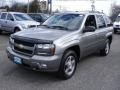 2009 Graystone Metallic Chevrolet TrailBlazer LT 4x4  photo #1