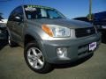 Titanium - RAV4 4WD Photo No. 1