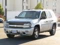 Moondust Metallic - TrailBlazer LS 4x4 Photo No. 9