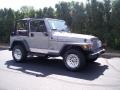 Silverstone Metallic - Wrangler SE 4x4 Photo No. 5