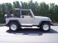 Silverstone Metallic - Wrangler SE 4x4 Photo No. 9