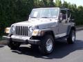 Silverstone Metallic - Wrangler SE 4x4 Photo No. 13