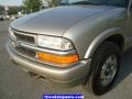 Sandalwood Metallic - Blazer LS 4x4 Photo No. 8