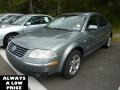 Stonehenge Grey Metallic - Passat GLX 4Motion Sedan Photo No. 3