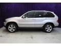 Titanium Silver Metallic - X5 4.4i Photo No. 5
