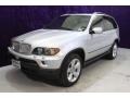 Titanium Silver Metallic - X5 4.4i Photo No. 37