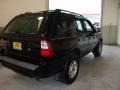 2002 Ebony Black Isuzu Rodeo LS  photo #5