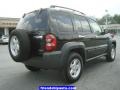 Black Clearcoat - Liberty Sport 4x4 Photo No. 13