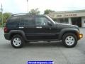 Black Clearcoat - Liberty Sport 4x4 Photo No. 14