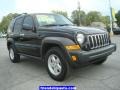 Black Clearcoat - Liberty Sport 4x4 Photo No. 15