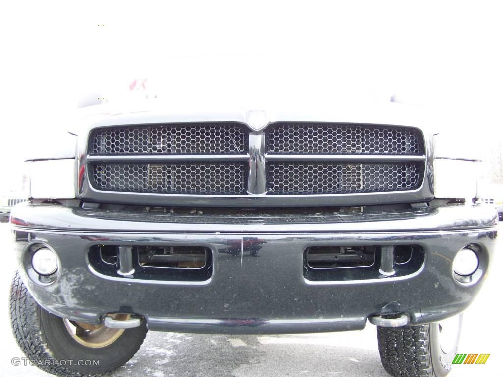 2001 Ram 1500 Sport Regular Cab 4x4 - Black / Agate photo #3