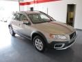 Seashell Metallic - XC70 3.2 AWD Photo No. 5