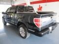 Black - F150 Platinum SuperCrew Photo No. 2