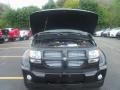 Brilliant Black Crystal Pearl - Nitro Shock 4x4 Photo No. 15