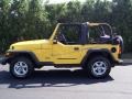 2001 Solar Yellow Jeep Wrangler SE 4x4  photo #10