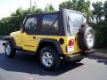 2001 Solar Yellow Jeep Wrangler SE 4x4  photo #13