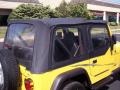 2001 Solar Yellow Jeep Wrangler SE 4x4  photo #14