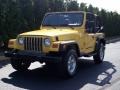 2001 Solar Yellow Jeep Wrangler SE 4x4  photo #17