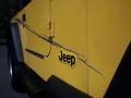 2001 Solar Yellow Jeep Wrangler SE 4x4  photo #26