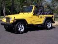 2001 Solar Yellow Jeep Wrangler SE 4x4  photo #28