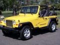 2001 Solar Yellow Jeep Wrangler SE 4x4  photo #29