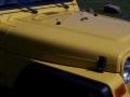 2001 Solar Yellow Jeep Wrangler SE 4x4  photo #30
