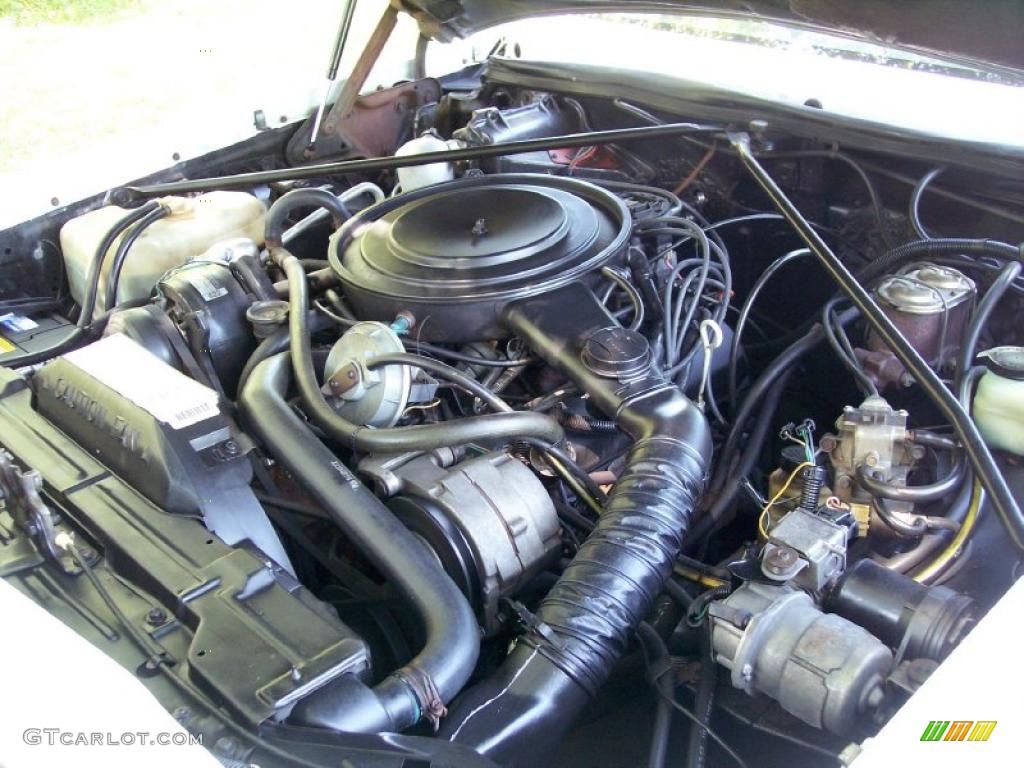 1983 Riviera Convertible - White / Red photo #48