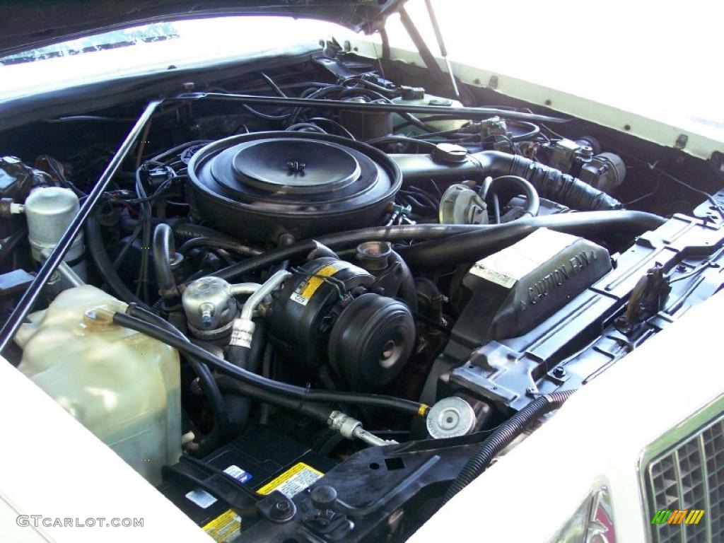 1983 Riviera Convertible - White / Red photo #50