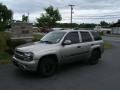 Light Pewter Metallic - TrailBlazer LS 4x4 Photo No. 1