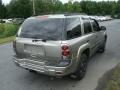 Light Pewter Metallic - TrailBlazer LS 4x4 Photo No. 6