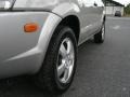 2006 Sahara Silver Hyundai Tucson GL  photo #3