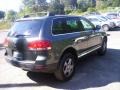 Reed Green Metallic - Touareg V6 Photo No. 5