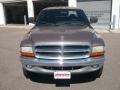 Light Driftwood Satin Glow - Dakota SLT Extended Cab 4x4 Photo No. 2