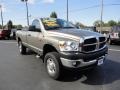 2007 Light Khaki Metallic Dodge Ram 2500 ST Regular Cab 4x4  photo #8