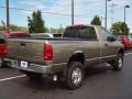 2007 Light Khaki Metallic Dodge Ram 2500 ST Regular Cab 4x4  photo #58