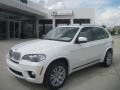 2011 Alpine White BMW X5 xDrive 50i  photo #1