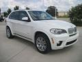 2011 Alpine White BMW X5 xDrive 50i  photo #2