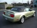 2006 Legend Lime Metallic Ford Mustang V6 Deluxe Convertible  photo #6