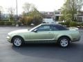 2006 Legend Lime Metallic Ford Mustang V6 Deluxe Convertible  photo #7
