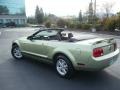 2006 Legend Lime Metallic Ford Mustang V6 Deluxe Convertible  photo #10
