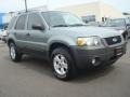 Titanium Green Metallic - Escape XLT V6 4WD Photo No. 9