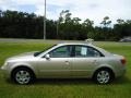 Camel Pearl - Sonata GLS Photo No. 2