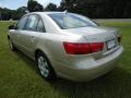 Camel Pearl - Sonata GLS Photo No. 3