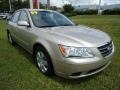 Camel Pearl - Sonata GLS Photo No. 15